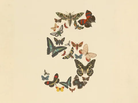 Vintage butterfly illustration - the visual identity of Anthropic's Claude Fable 5 and Mythos 5 AI models