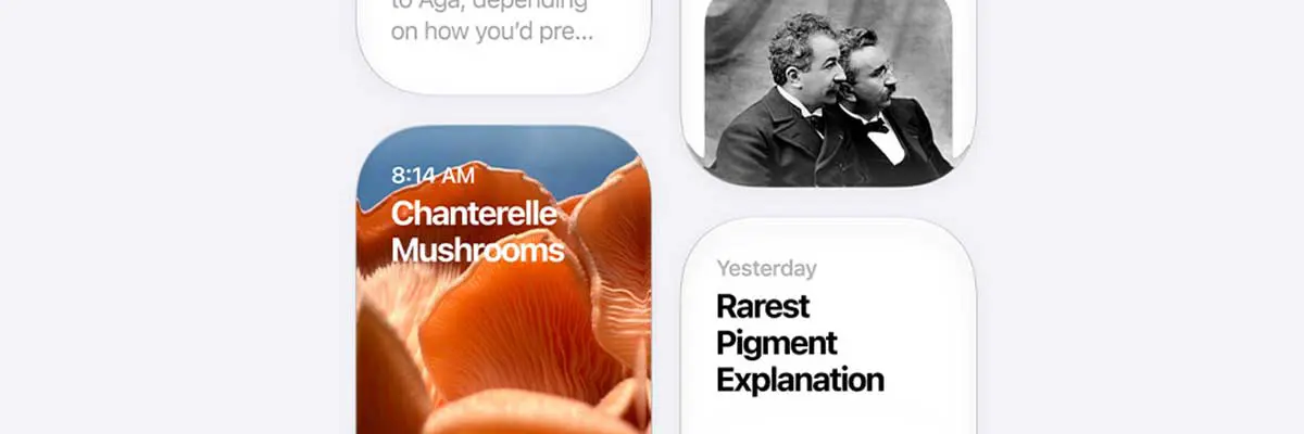 iPhone showing the new Siri app with conversation history about recipes, city parks, chanterelle mushrooms, and film history