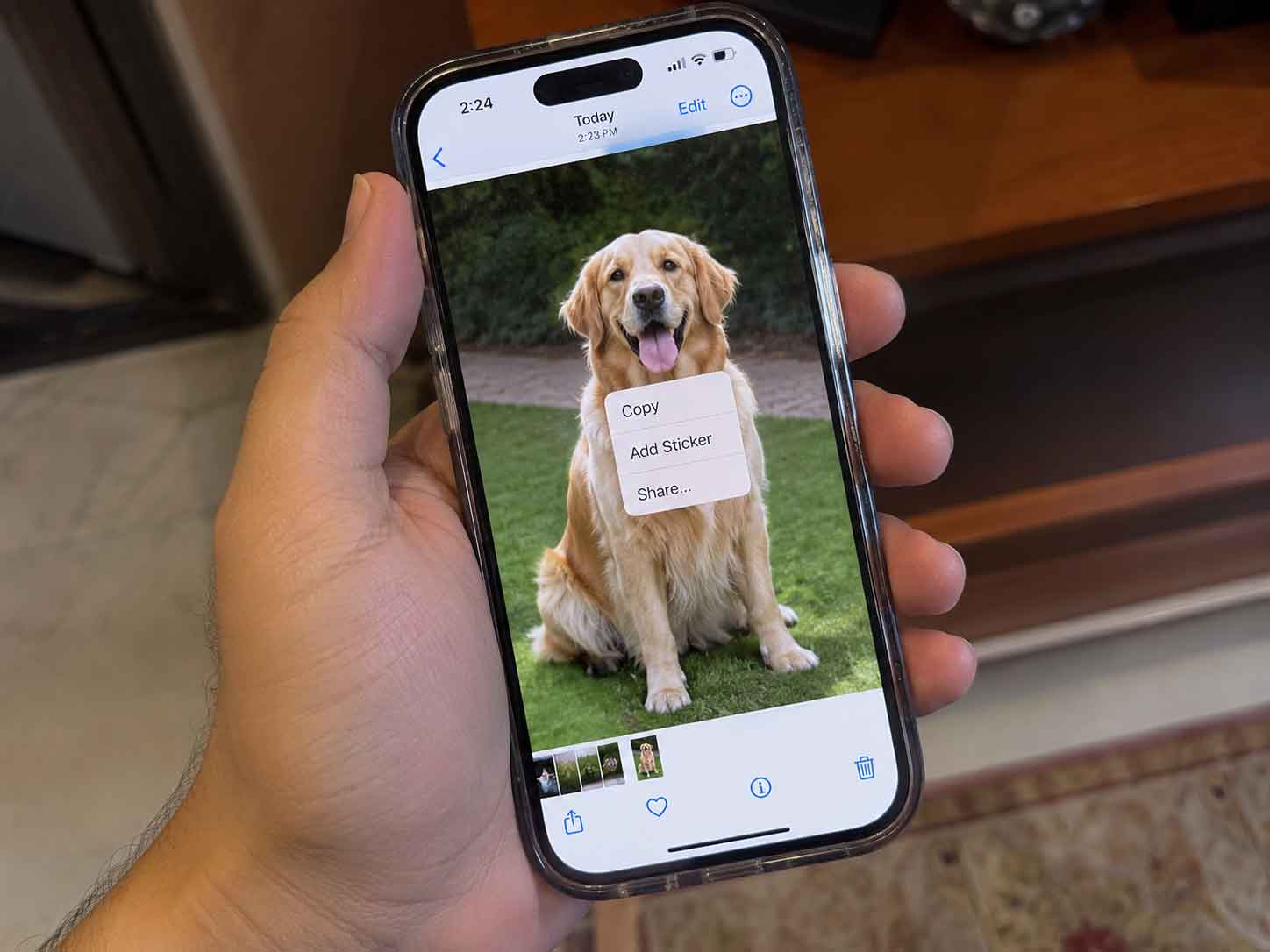 Selecting a subject in the Photos app before creating a custom sticker on iPhone