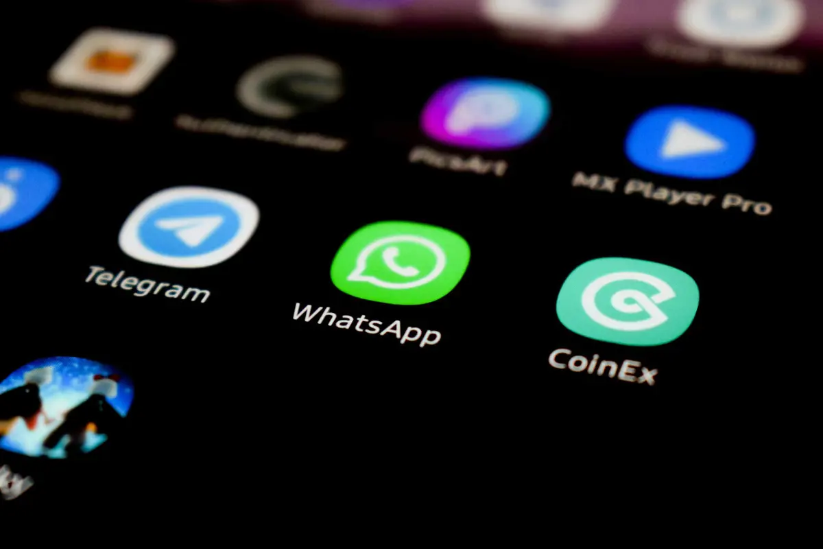 WhatsApp chat themes on iPhone with five new theme categories
