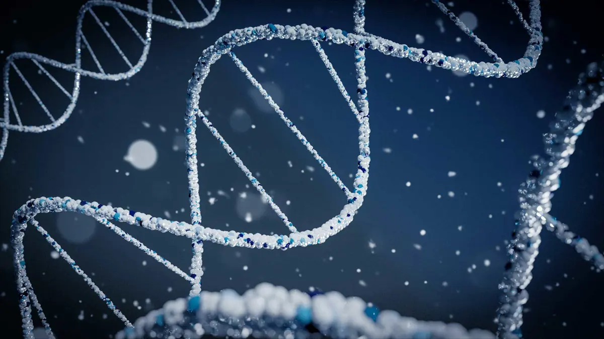 Anthropic Life Sciences Verification Program announcement showing two access tiers for biology researchers using Claude models