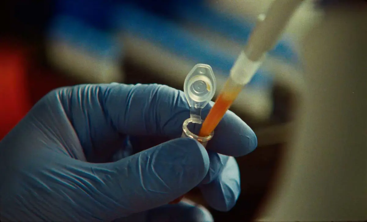 Claude AI searching DNA sequences and identifying a CRISPR-like enzyme system