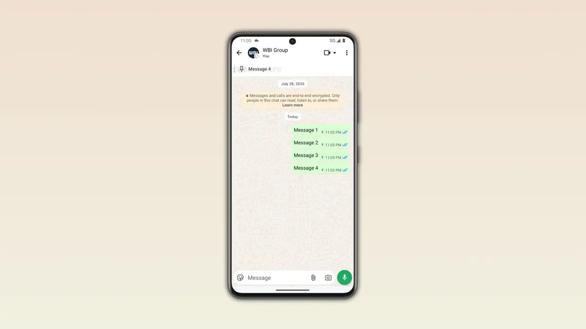 WhatsApp Android beta showing four pinned messages visible at the top of a group chat conversation