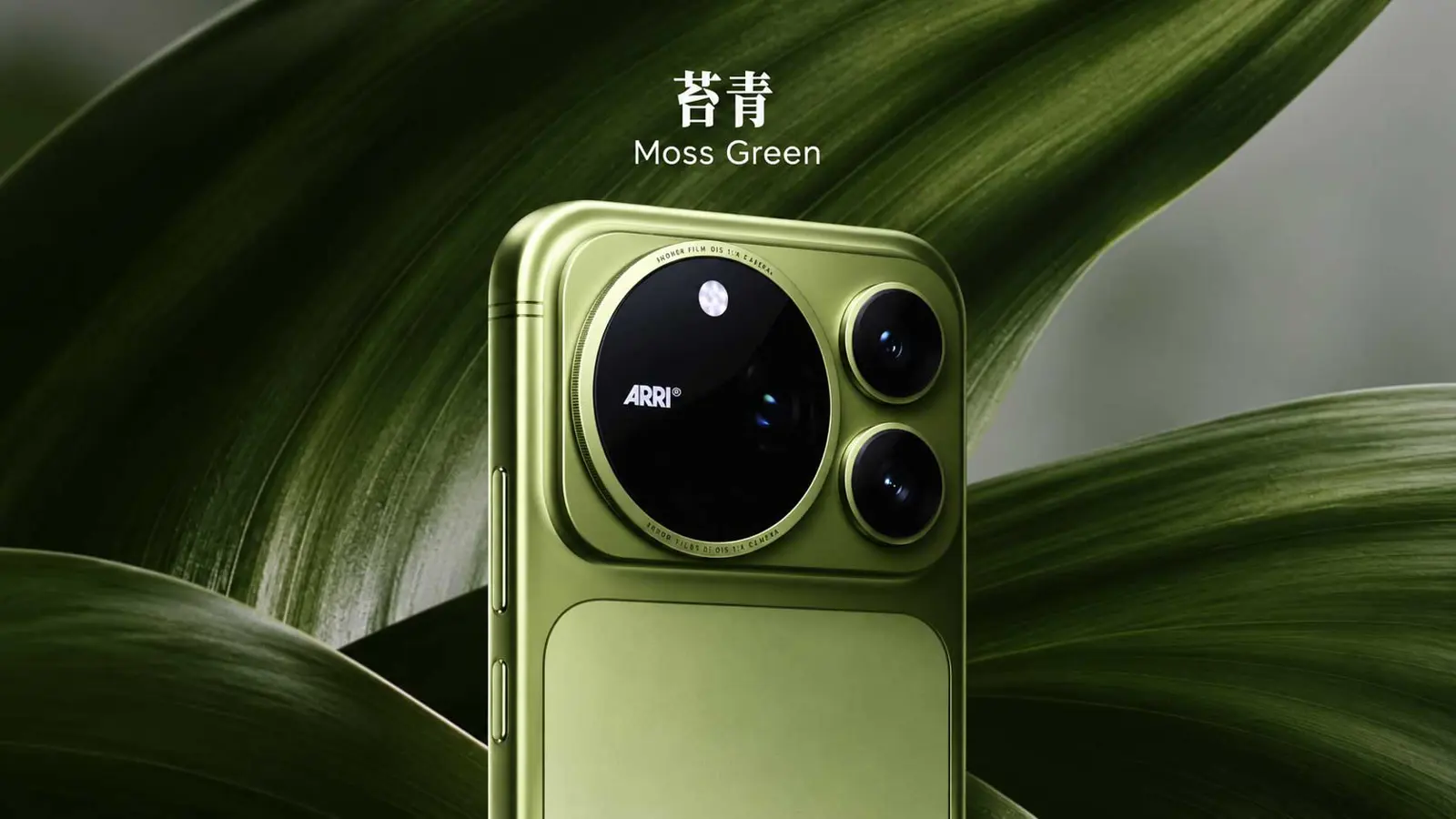 Moss Green Smartphone In Botanical Light